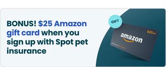 Embrace Amazon Gift Card